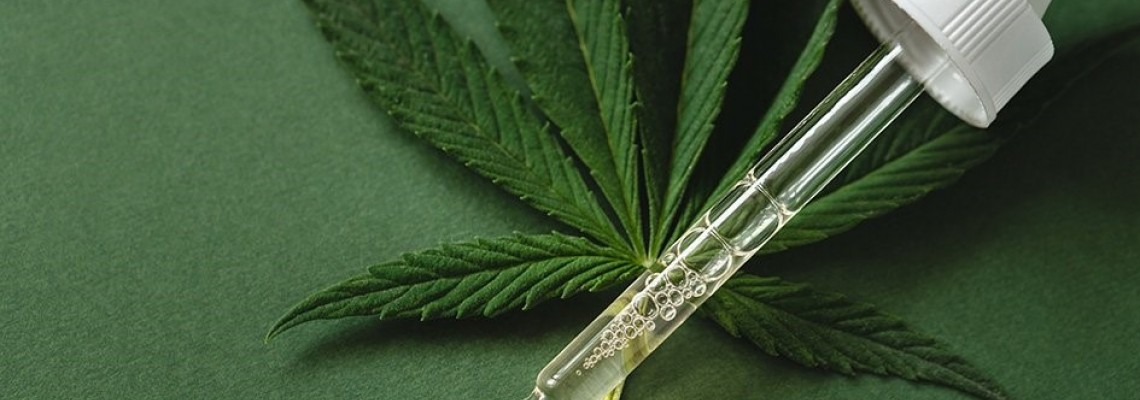 CBD alebo Zelený zázrak s názvom Cannabis sativa.