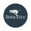 Bora Tree